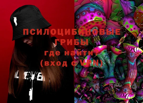 кокс Богородицк
