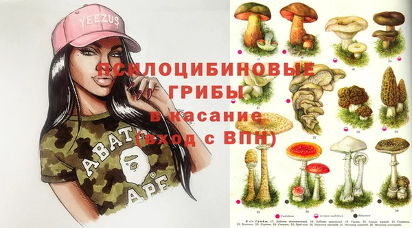 шишки Богданович