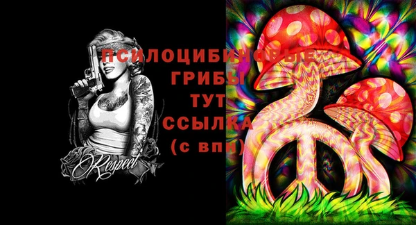 кокс Богородицк