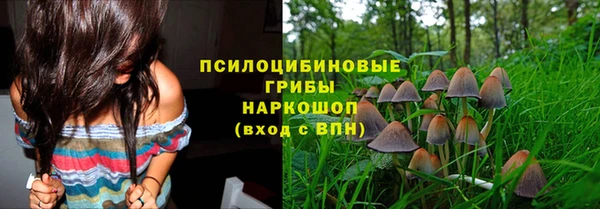 шишки Богданович