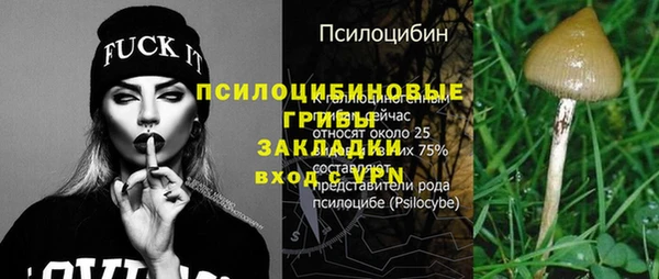 шишки Богданович