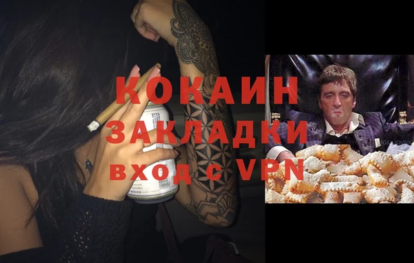 шишки Богданович