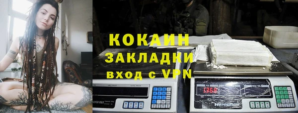 шишки Богданович