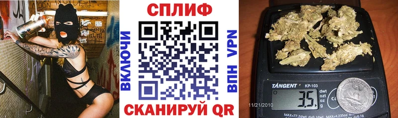 сколько стоит  Александровское  Бошки марихуана ГИДРОПОН 
